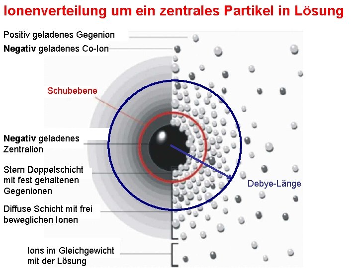 Ionenverteilung um ein zentrales Partikel in Lösung Positiv geladenes Gegenion Negativ geladenes Co-Ion Schubebene