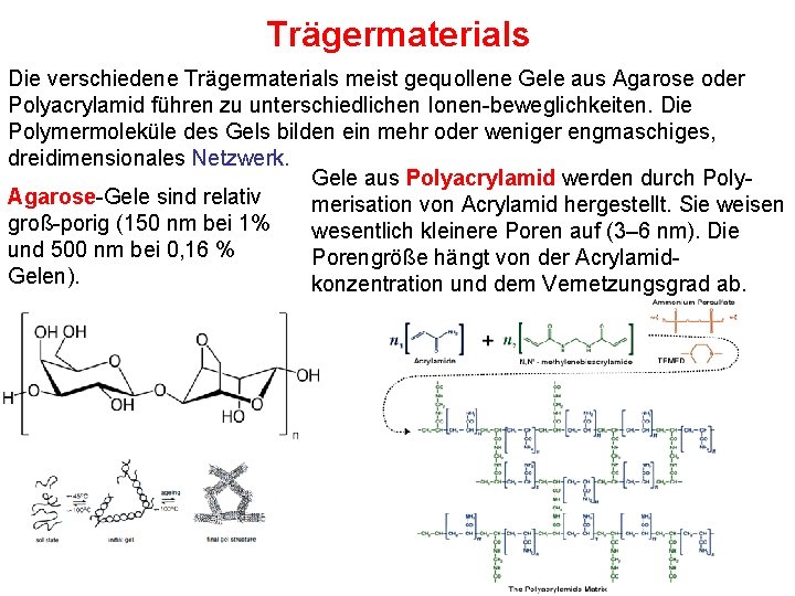 Trägermaterials Die verschiedene Trägermaterials meist gequollene Gele aus Agarose oder Polyacrylamid führen zu unterschiedlichen