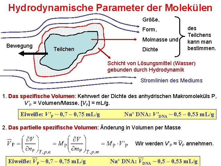 Hydrodynamische Parameter der Molekülen Größe, Form, Molmasse und Bewegung Teilchen Dichte des Teilchens kann