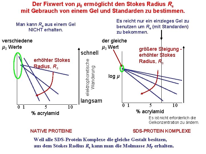 Der Fixwert von μ 0 ermöglicht den Stokes Radius Rs mit Gebrauch von einem