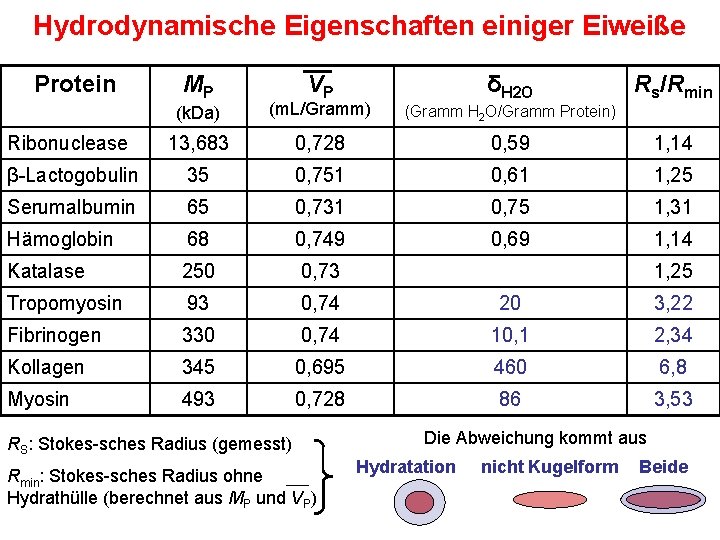 Hydrodynamische Eigenschaften einiger Eiweiße Protein MP V P δH 2 O Rs/Rmin (k. Da)