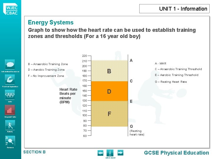 UNIT 1 - Information Energy Systems Graph to show the heart rate can be