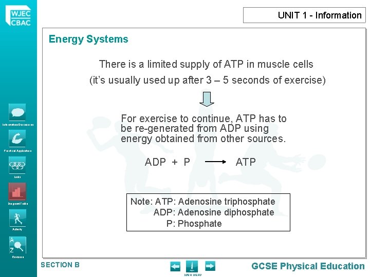 UNIT 1 - Information Energy Systems There is a limited supply of ATP in