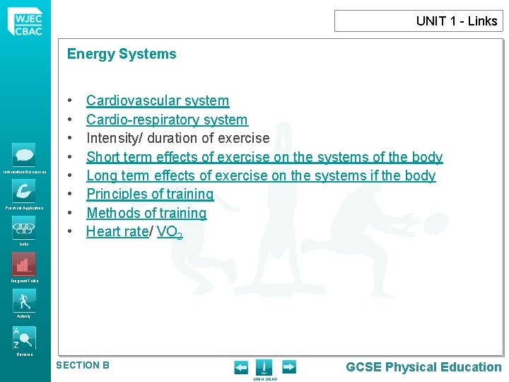 UNIT 1 - Links Energy Systems Information/Discussion Practical Application Links • • Cardiovascular system