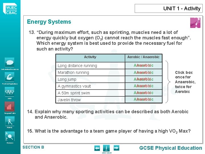 UNIT 1 - Activity Energy Systems 13. “During maximum effort, such as sprinting, muscles