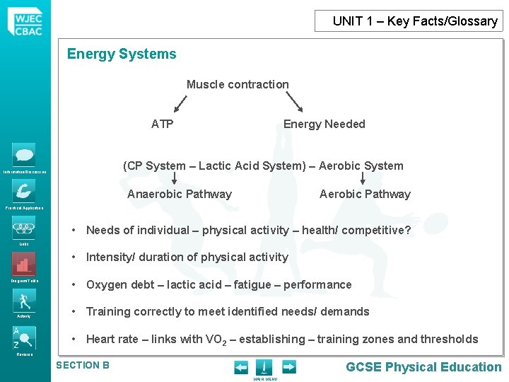 UNIT 1 – Key Facts/Glossary Energy Systems Muscle contraction ATP Energy Needed (CP System