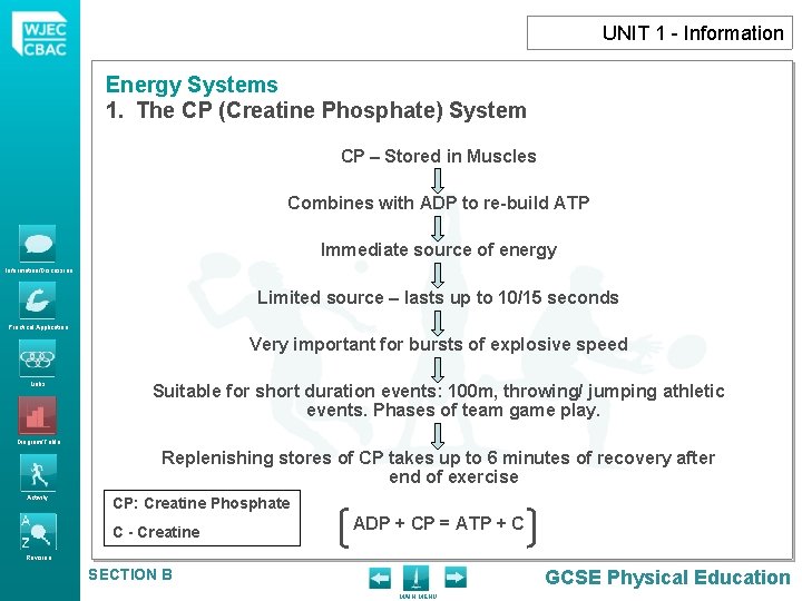 UNIT 1 - Information Energy Systems 1. The CP (Creatine Phosphate) System CP –