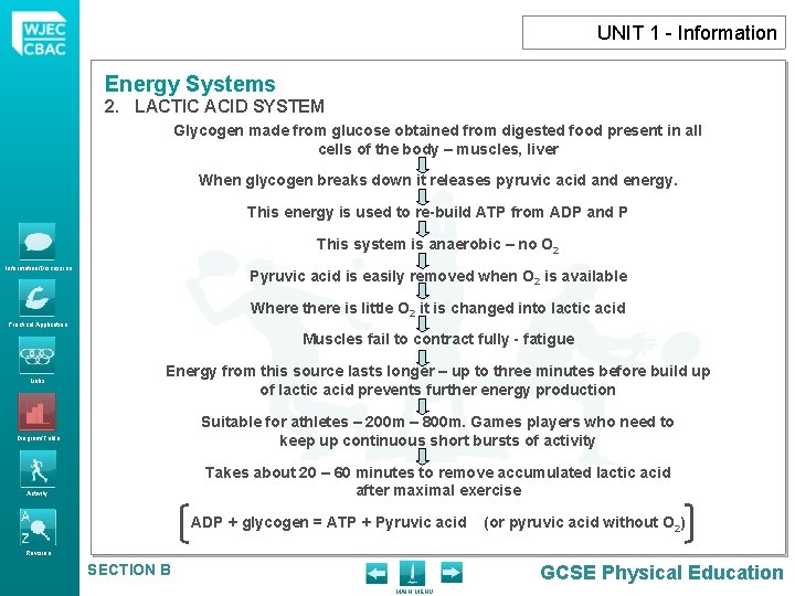 UNIT 1 - Information Energy Systems 2. LACTIC ACID SYSTEM Glycogen made from glucose