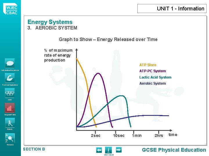 UNIT 1 - Information Energy Systems 3. AEROBIC SYSTEM Graph to Show – Energy