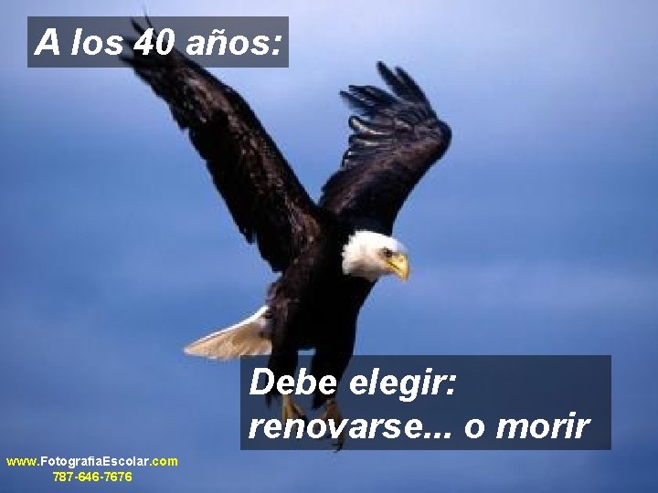 A los 40 años: Debe elegir: renovarse. . . o morir www. Fotografia. Escolar.