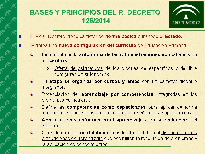 BASES Y PRINCIPIOS DEL R. DECRETO 126/2014 El Real Decreto tiene carácter de norma