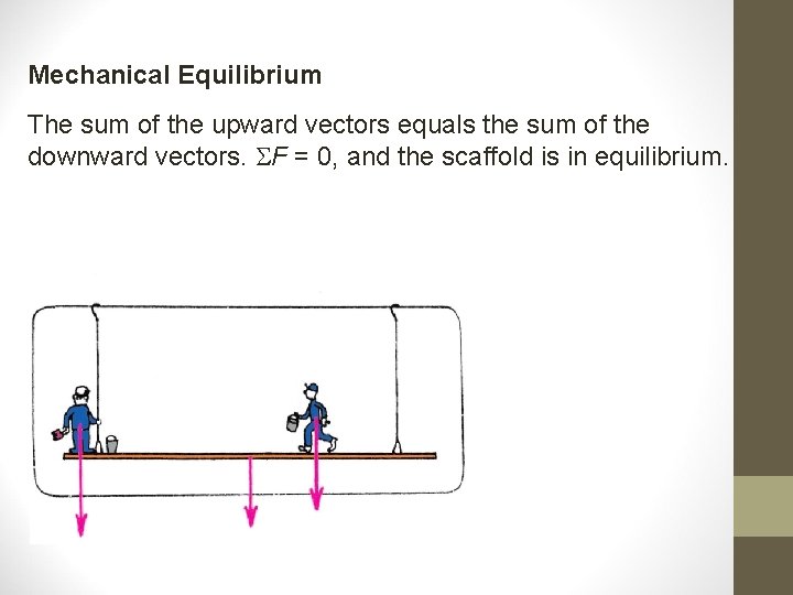 Mechanical Equilibrium The sum of the upward vectors equals the sum of the downward Mechanical Equilibrium The sum of the upward vectors equals the sum of the downward