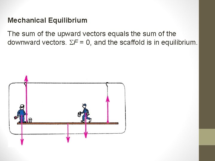 Mechanical Equilibrium The sum of the upward vectors equals the sum of the downward Mechanical Equilibrium The sum of the upward vectors equals the sum of the downward