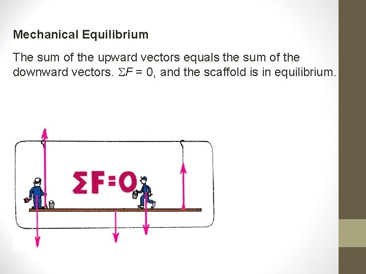 Mechanical Equilibrium The sum of the upward vectors equals the sum of the downward Mechanical Equilibrium The sum of the upward vectors equals the sum of the downward