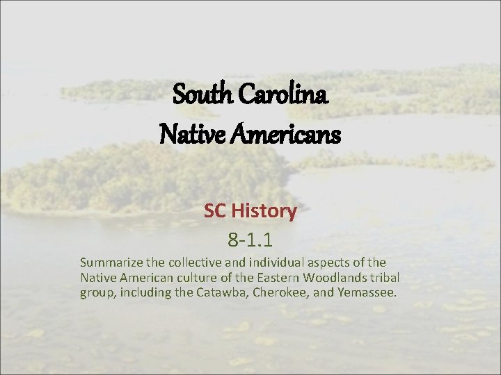 South Carolina Native Americans SC History 8 -1. 1 Summarize the collective and individual