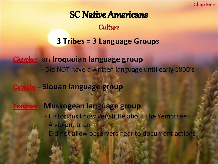 Chapter 3 SC Native Americans Culture 3 Tribes = 3 Language Groups Cherokee -