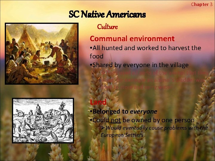 Chapter 3 SC Native Americans Culture Communal environment • All hunted and worked to