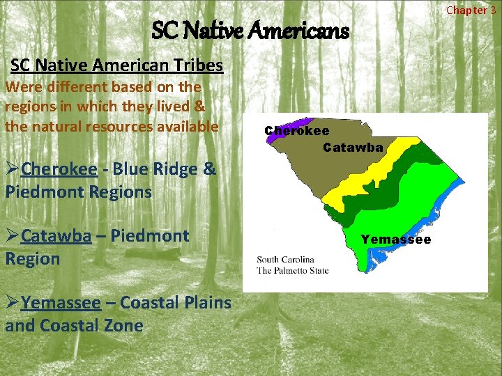 Chapter 3 SC Native Americans SC Native American Tribes Were different based on the