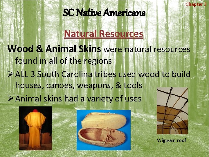 SC Native Americans Chapter 3 Natural Resources Wood & Animal Skins were natural resources