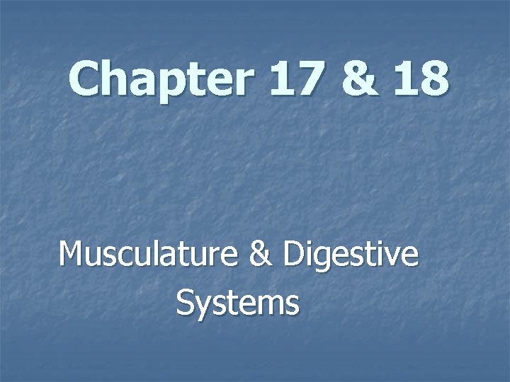 Chapter 17 & 18 Musculature & Digestive Systems 