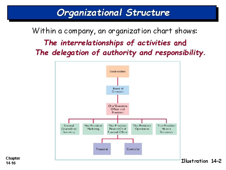 Organizational Structure Within a company, an organization chart shows: The interrelationships of activities and