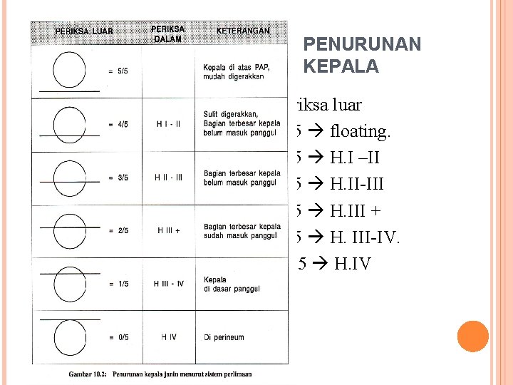 PENURUNAN KEPALA Periksa luar 5/5 floating. 4/5 H. I –II 3/5 H. II-III 2/5