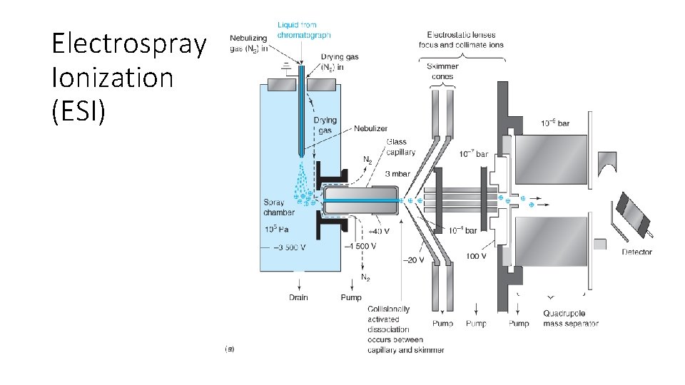 Electrospray Ionization (ESI) 
