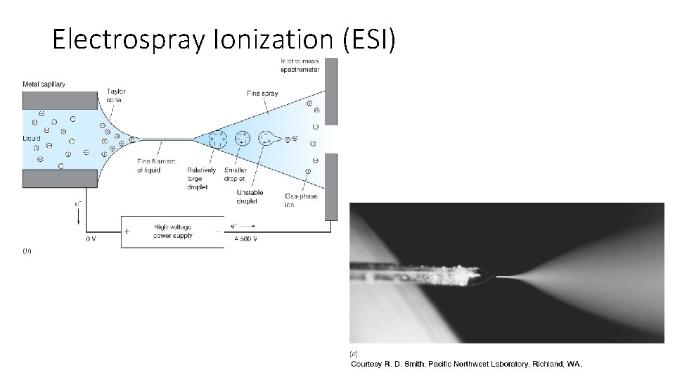Electrospray Ionization (ESI) 