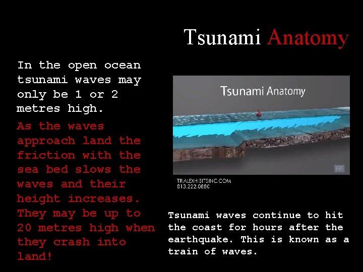 Tsunami Anatomy In the open ocean tsunami waves may only be 1 or 2