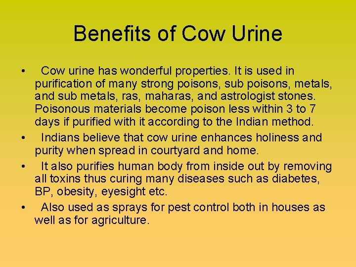Benefits of Cow Urine • Cow urine has wonderful properties. It is used in