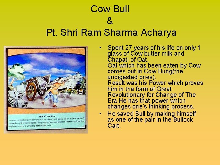Cow Bull & Pt. Shri Ram Sharma Acharya • Spent 27 years of his