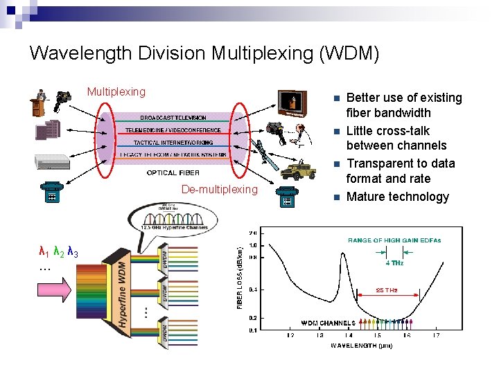 Wavelength Division Multiplexing (WDM) Multiplexing n n n De-multiplexing λ 1 λ 2 λ