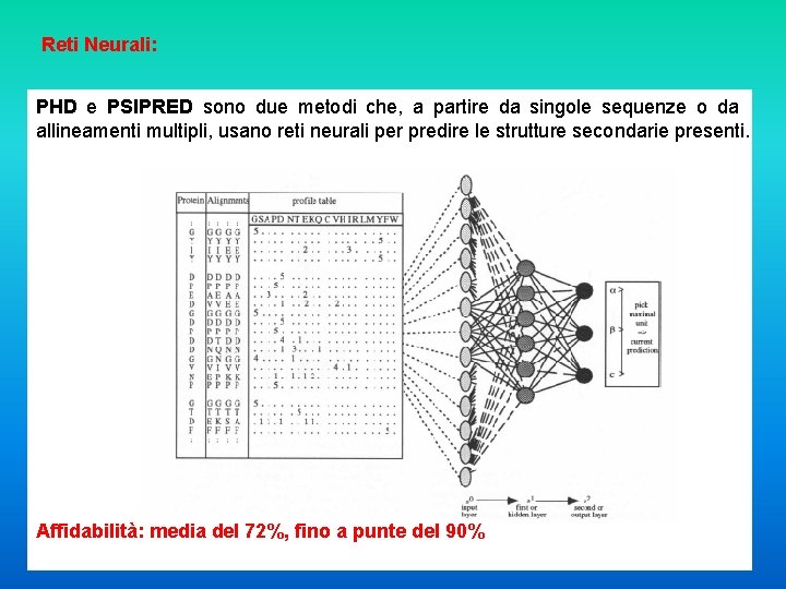 Reti Neurali: PHD e PSIPRED sono due metodi che, a partire da singole sequenze