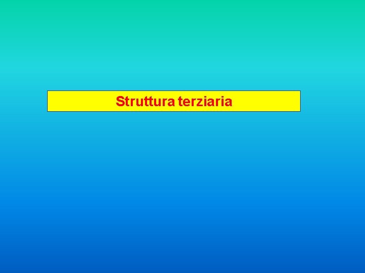 Struttura terziaria 