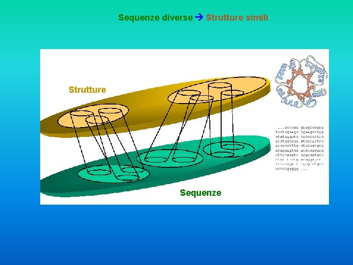 Sequenze diverse Strutture simili Strutture Sequenze 