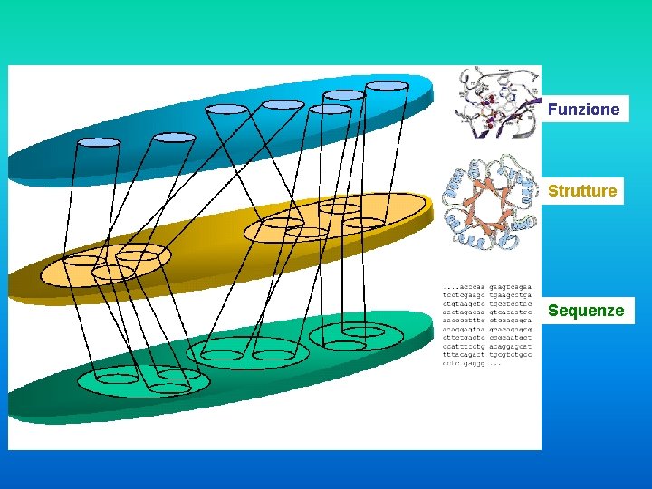Funzione Strutture Sequenze 