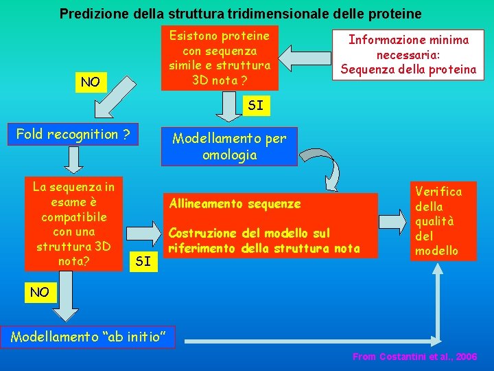 Predizione della struttura tridimensionale delle proteine Esistono proteine con sequenza simile e struttura 3