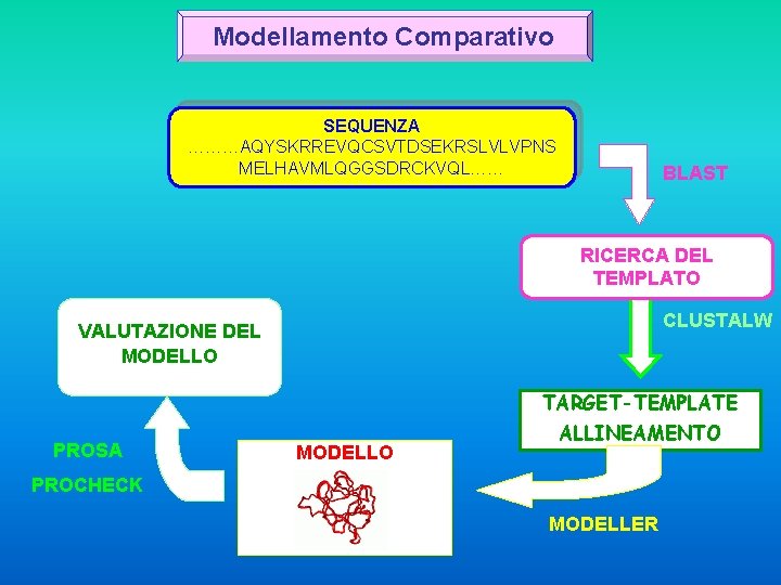 Modellamento Comparativo SEQUENZA ………AQYSKRREVQCSVTDSEKRSLVLVPNS MELHAVMLQGGSDRCKVQL…… BLAST RICERCA DEL TEMPLATO CLUSTALW VALUTAZIONE DEL MODELLO TARGET-TEMPLATE