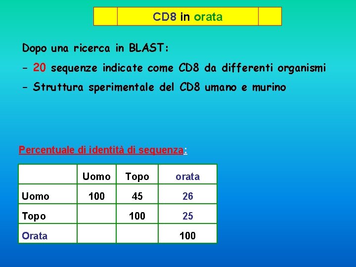 CD 8 in orata Dopo una ricerca in BLAST: - 20 sequenze indicate come