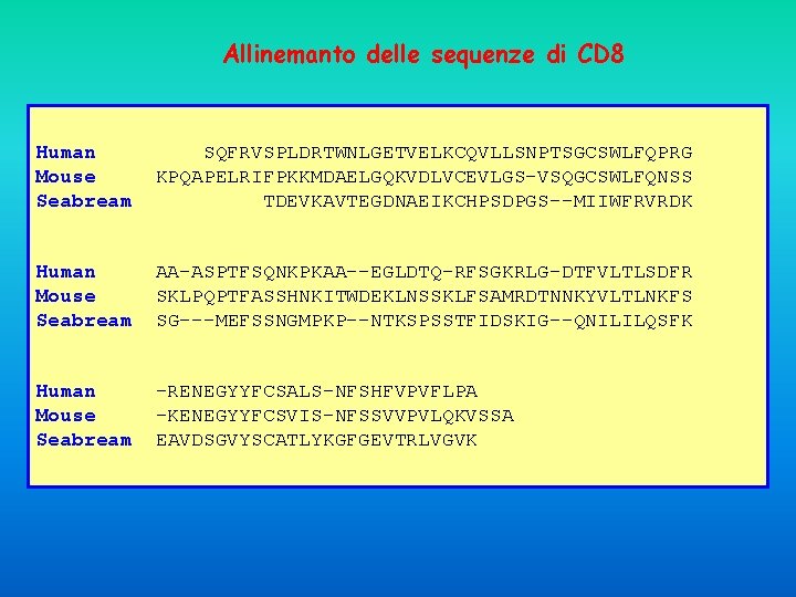 Allinemanto delle sequenze di CD 8 Human Mouse Seabream SQFRVSPLDRTWNLGETVELKCQVLLSNPTSGCSWLFQPRG KPQAPELRIFPKKMDAELGQKVDLVCEVLGS-VSQGCSWLFQNSS TDEVKAVTEGDNAEIKCHPSDPGS--MIIWFRVRDK Human Mouse