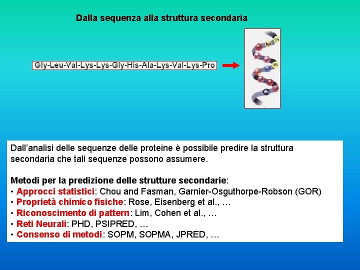 Dalla sequenza alla struttura secondaria Dall’analisi delle sequenze delle proteine è possibile predire la