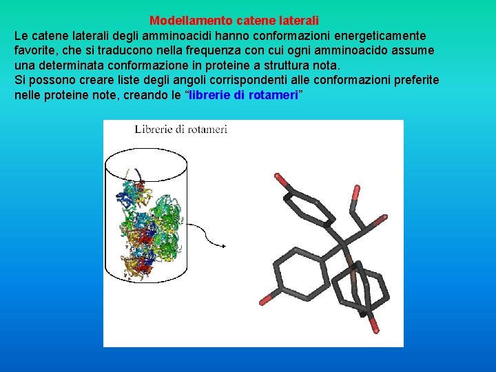 Modellamento catene laterali Le catene laterali degli amminoacidi hanno conformazioni energeticamente favorite, che si