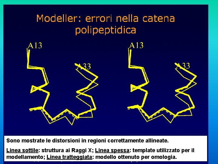 Sono mostrate le distorsioni in regioni correttamente allineate. Linea sottile: struttura ai Raggi X;