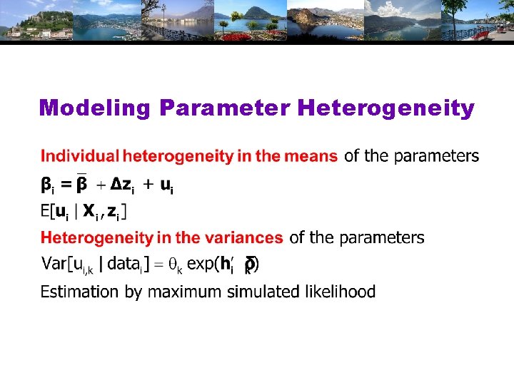 Modeling Parameter Heterogeneity 