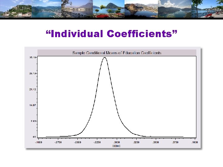 “Individual Coefficients” 