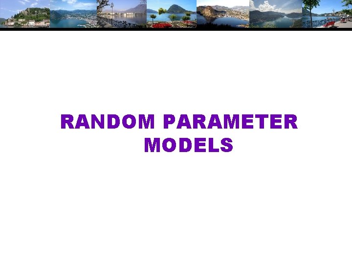 RANDOM PARAMETER MODELS 