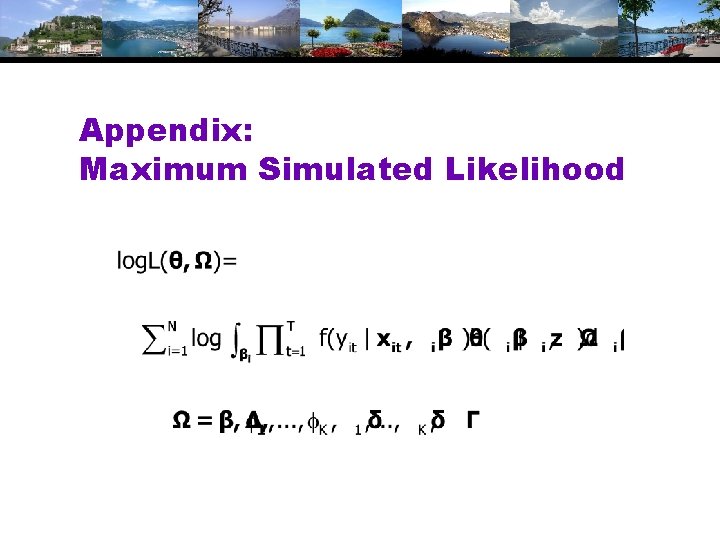 Appendix: Maximum Simulated Likelihood 