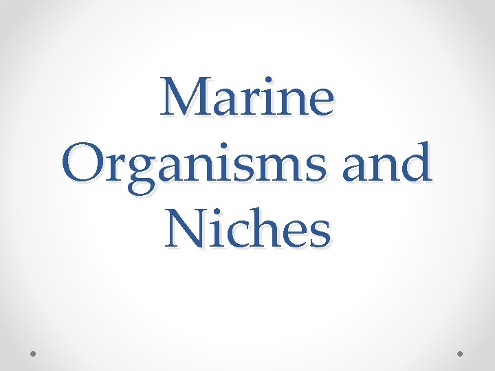 Marine Organisms and Niches 