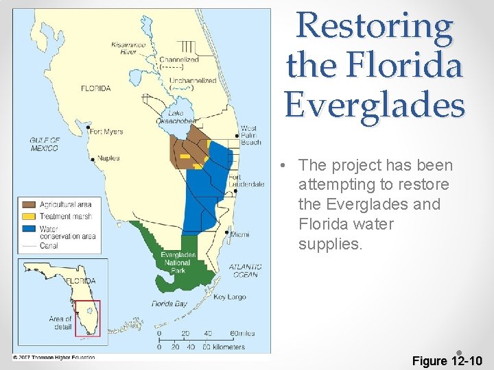 Restoring the Florida Everglades • The project has been attempting to restore the Everglades