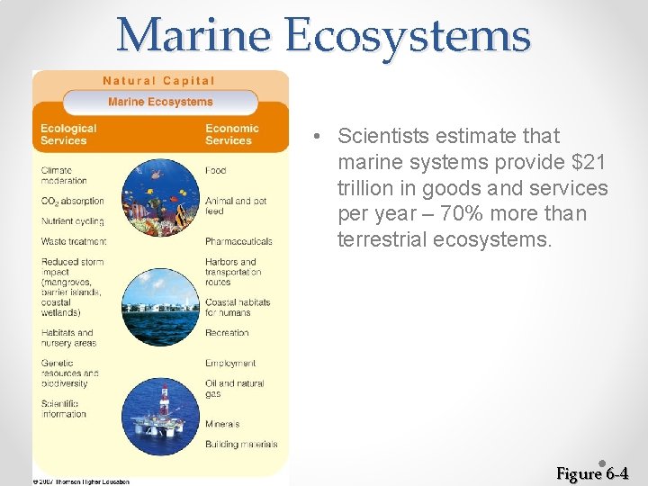 Marine Ecosystems • Scientists estimate that marine systems provide $21 trillion in goods and